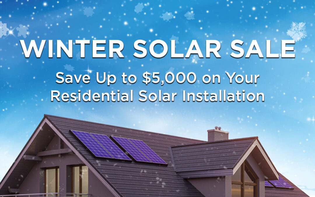 Winter Solar Sale